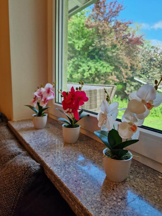 Ferienwohnung Bayernbrise 로르도프 외부 사진
